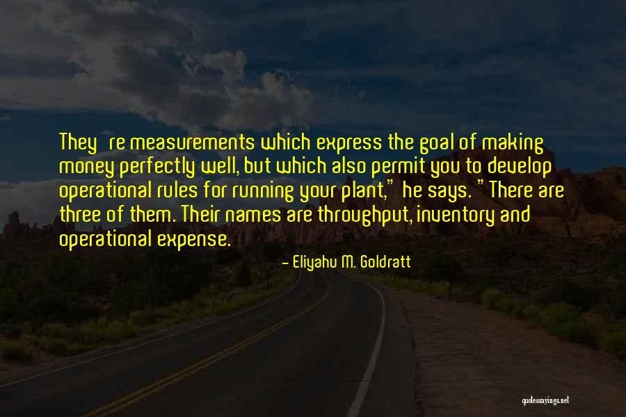 Nabby Day Camp Quotes By Eliyahu M. Goldratt