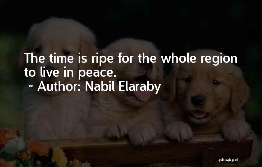 Nabil Elaraby Quotes 324804