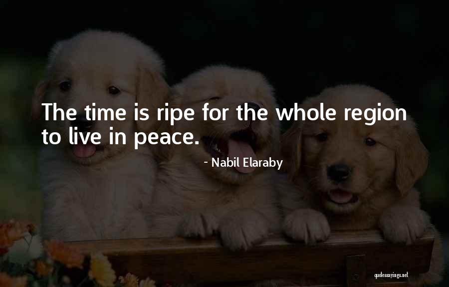 Nabil Elaraby Quotes 324804 Nabil Elaraby Quotes 324804