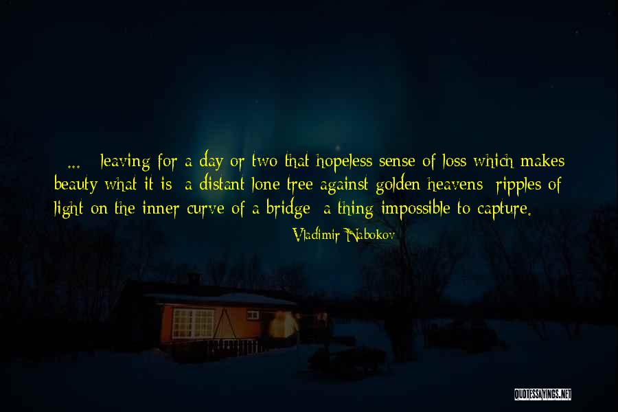 Nabokov Quotes By Vladimir Nabokov