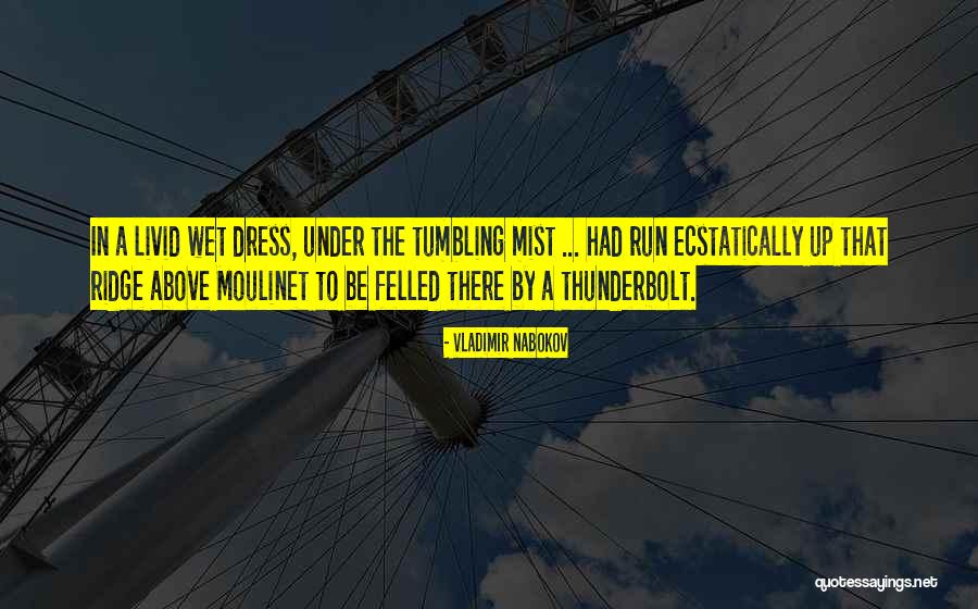 Nabokov Quotes By Vladimir Nabokov Nabokov Quotes By Vladimir Nabokov