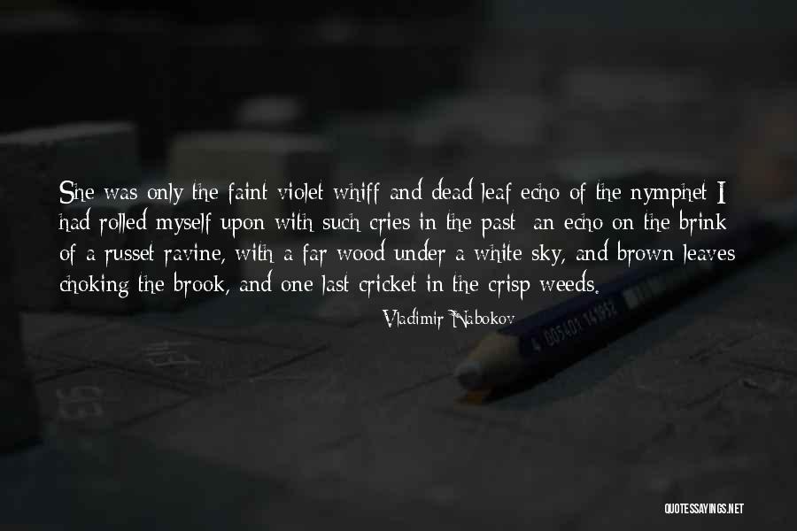 Nabokov Quotes By Vladimir Nabokov Nabokov Quotes By Vladimir Nabokov