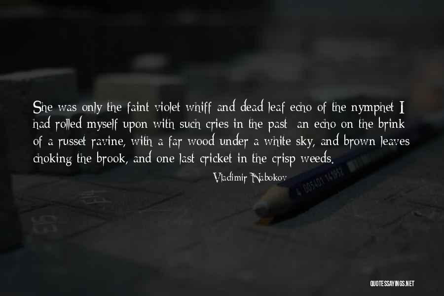 Nabokov Quotes By Vladimir Nabokov