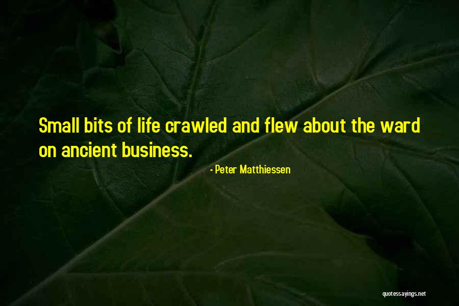 Nacchio Joe Quotes By Peter Matthiessen Nacchio Joe Quotes By Peter Matthiessen