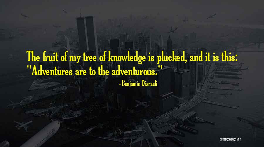 Nacera Quotes By Benjamin Disraeli Nacera Quotes By Benjamin Disraeli