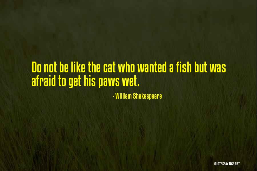 Nachmias Chiropractic Quotes By William Shakespeare