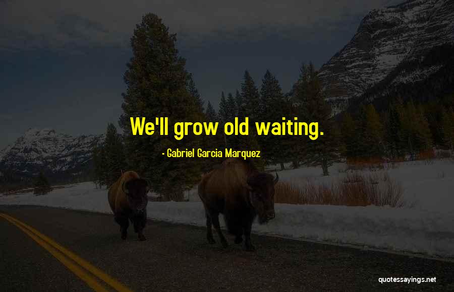 Nadaba In English Quotes By Gabriel Garcia Marquez Nadaba In English Quotes By Gabriel Garcia Marquez