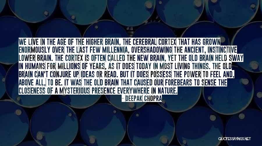 Nadavky Quotes By Deepak Chopra Nadavky Quotes By Deepak Chopra