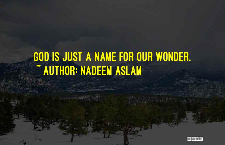 Nadeem Aslam Quotes 130718