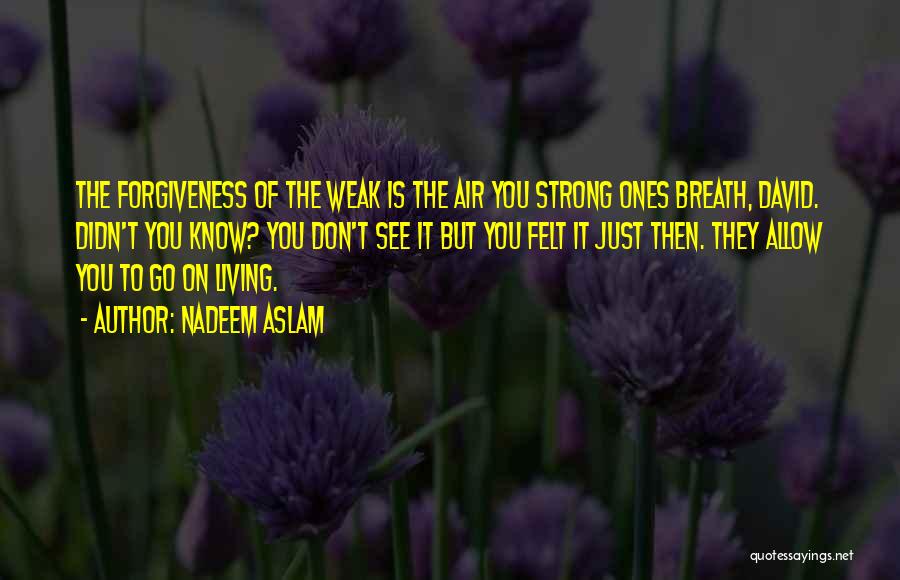 Nadeem Aslam Quotes 634810