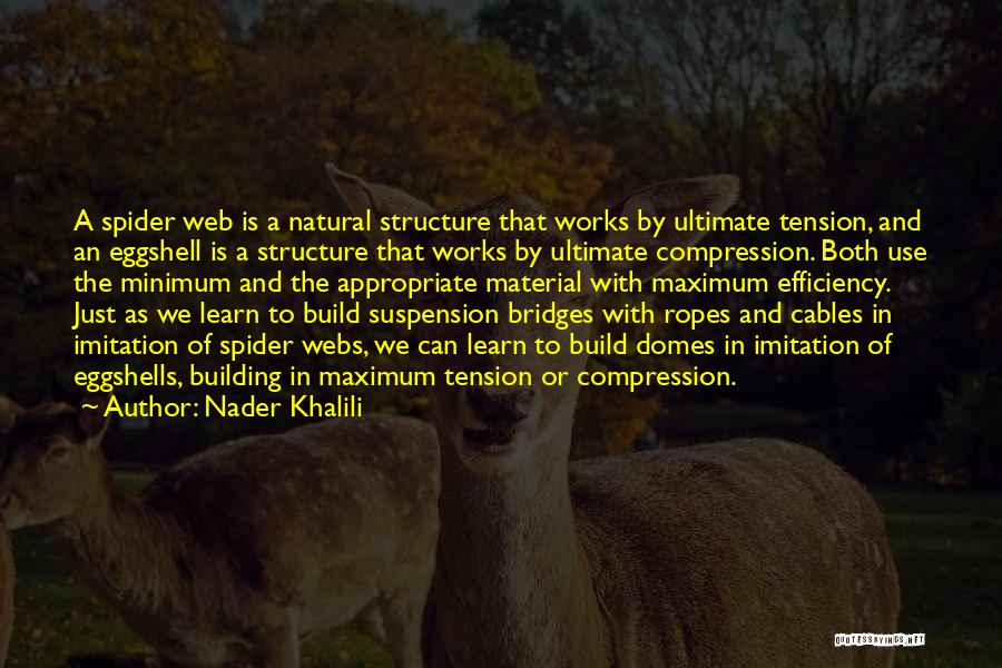 Nader Khalili Quotes 1131073
