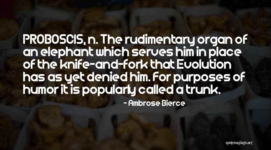 Naderman Murder Quotes By Ambrose Bierce Naderman Murder Quotes By Ambrose Bierce