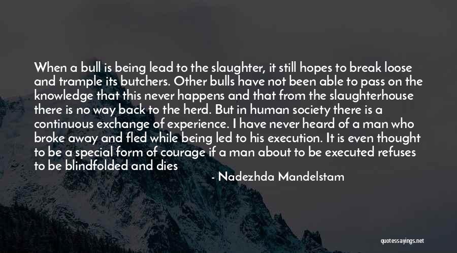 Nadezhda Mandelstam Quotes 994345 Nadezhda Mandelstam Quotes 994345