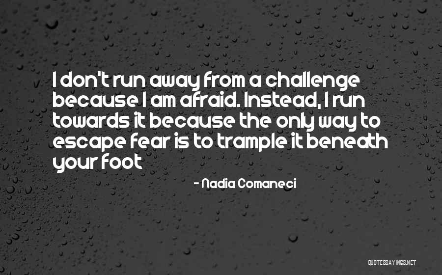Nadia Comaneci Quotes 1176004 Nadia Comaneci Quotes 1176004