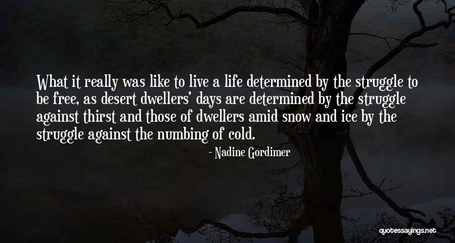 Nadine Gordimer Quotes 1467989