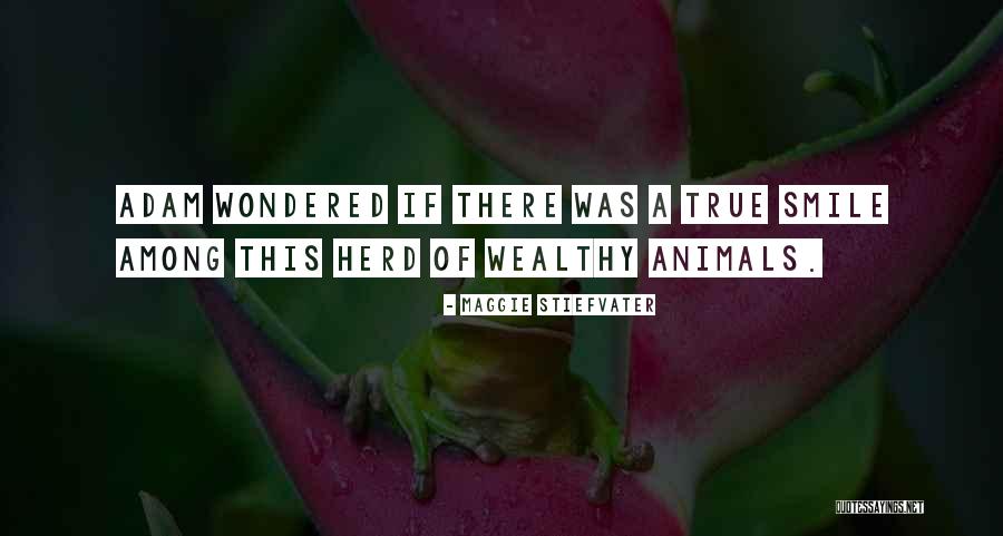 Nadjib Musician Quotes By Maggie Stiefvater Nadjib Musician Quotes By Maggie Stiefvater