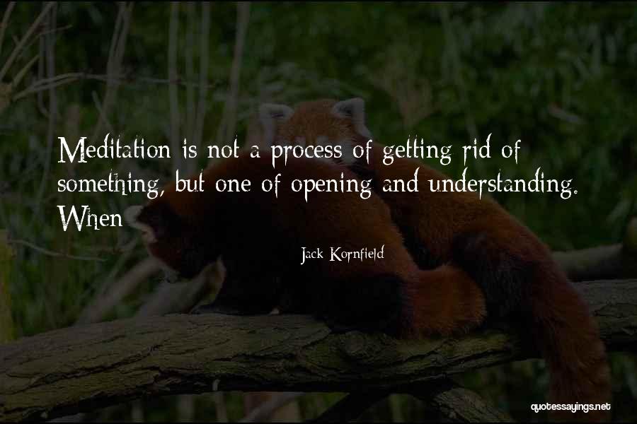 Nadrah Beardsley Quotes By Jack Kornfield Nadrah Beardsley Quotes By Jack Kornfield