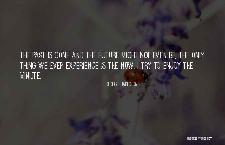 Naert And Dubois Quotes By George Harrison Naert And Dubois Quotes By George Harrison