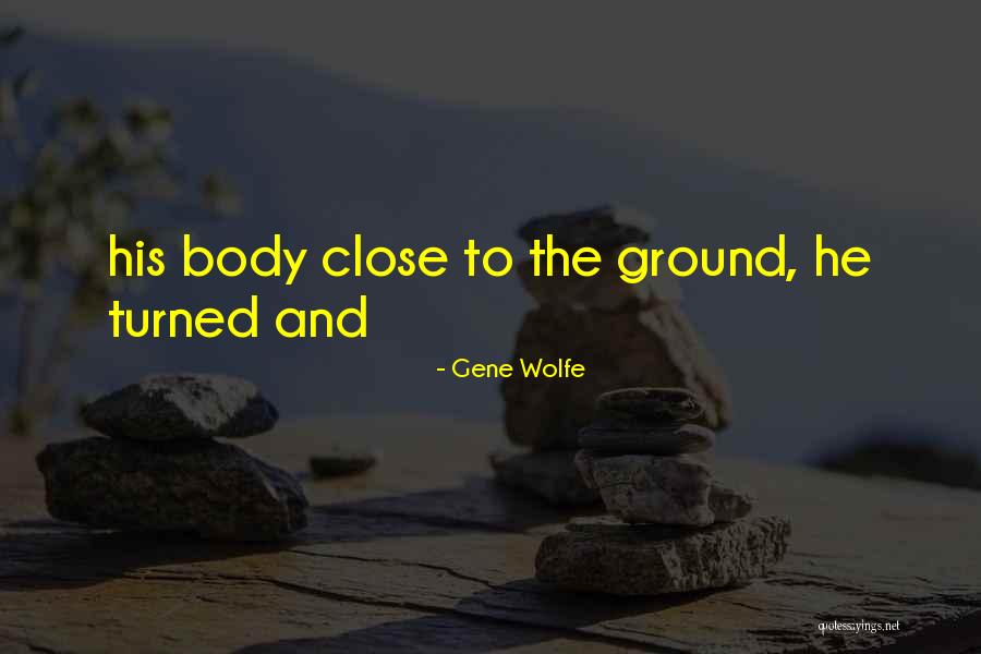 Nafissatou Haidara Quotes By Gene Wolfe Nafissatou Haidara Quotes By Gene Wolfe