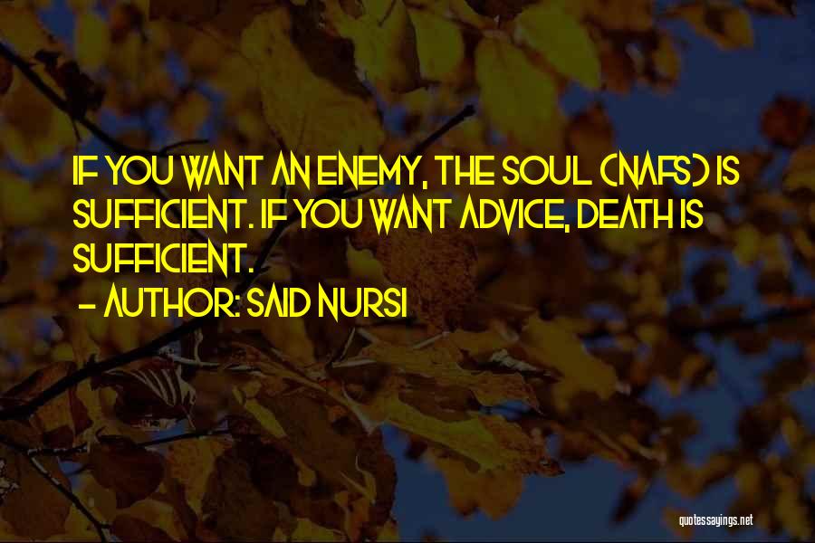 Nafs Quotes By Said Nursi