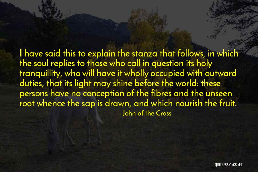 Nafusi Quotes By John Of The Cross Nafusi Quotes By John Of The Cross