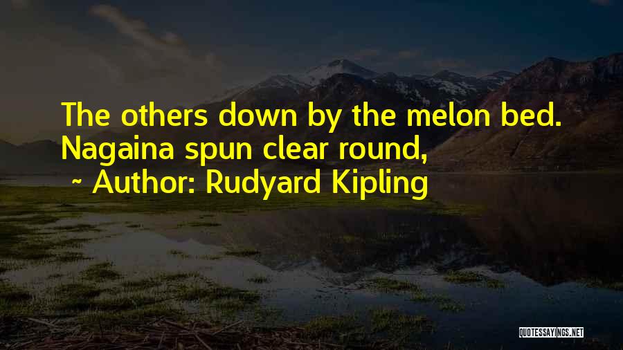 Nagaina Quotes By Rudyard Kipling