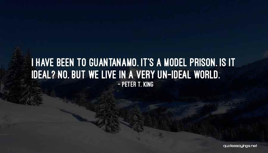 Nagasako Okazu Quotes By Peter T. King Nagasako Okazu Quotes By Peter T. King
