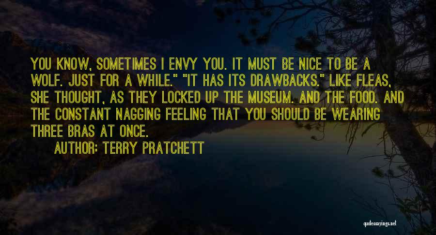 Nagging Quotes By Terry Pratchett