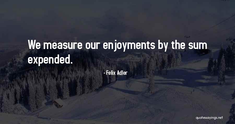 Naggy Person Quotes By Felix Adler Naggy Person Quotes By Felix Adler