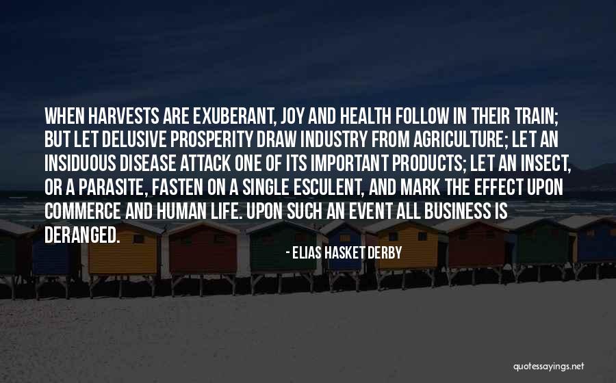 Naglaa Quotes By Elias Hasket Derby Naglaa Quotes By Elias Hasket Derby