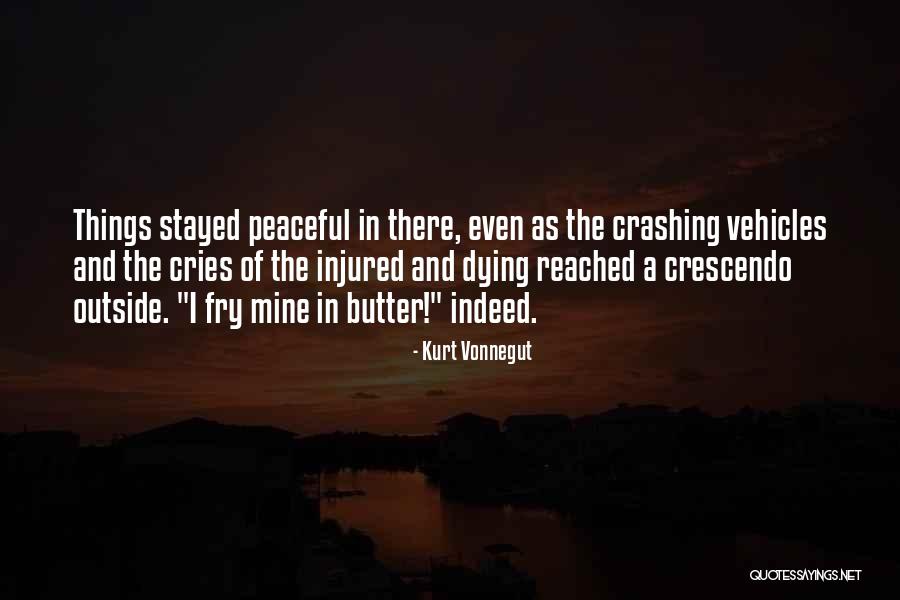Nagomi Quotes By Kurt Vonnegut Nagomi Quotes By Kurt Vonnegut