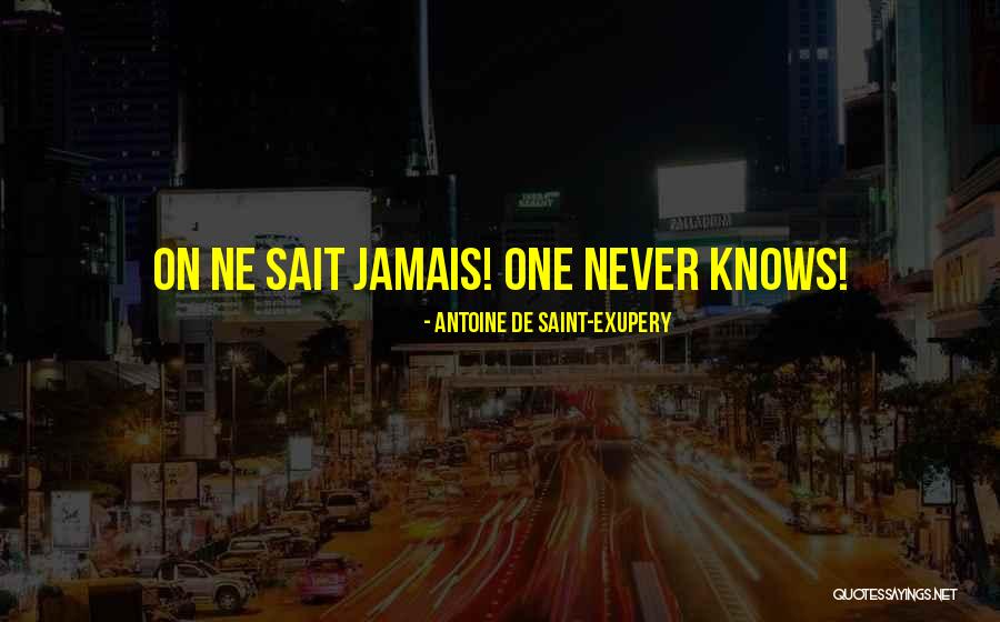 Nahihilo Quotes By Antoine De Saint-Exupery Nahihilo Quotes By Antoine De Saint-Exupery