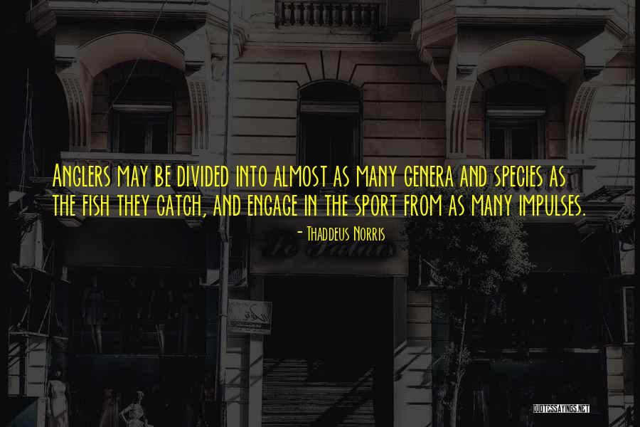 Nahir Romano Quotes By Thaddeus Norris Nahir Romano Quotes By Thaddeus Norris