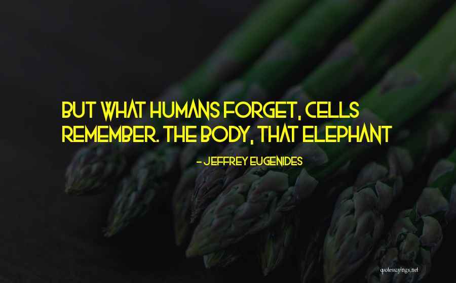 Nahradne Quotes By Jeffrey Eugenides Nahradne Quotes By Jeffrey Eugenides