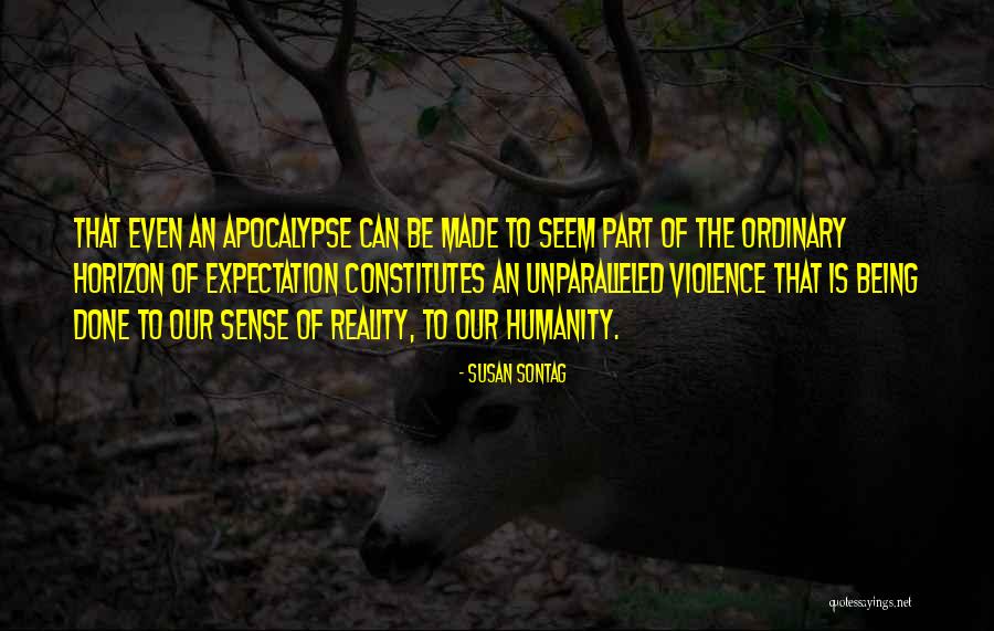 Naida Gadzo Quotes By Susan Sontag Naida Gadzo Quotes By Susan Sontag
