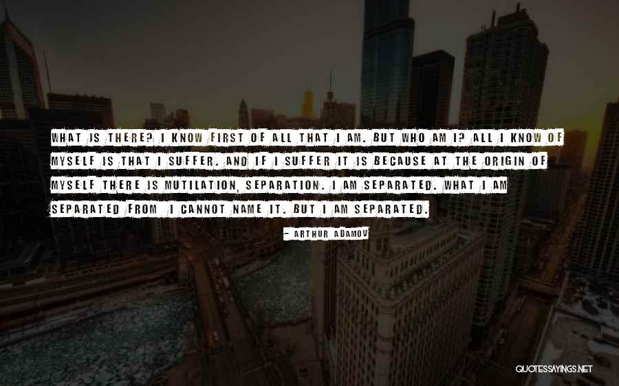 Naiden Bygg Quotes By Arthur Adamov Naiden Bygg Quotes By Arthur Adamov