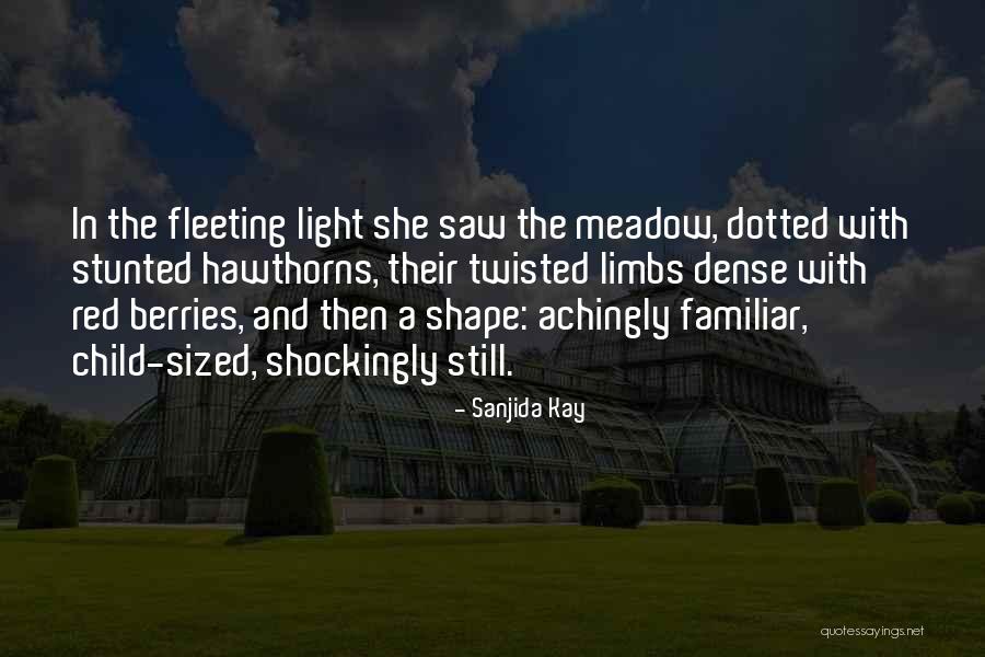Naikan Practice Quotes By Sanjida Kay Naikan Practice Quotes By Sanjida Kay