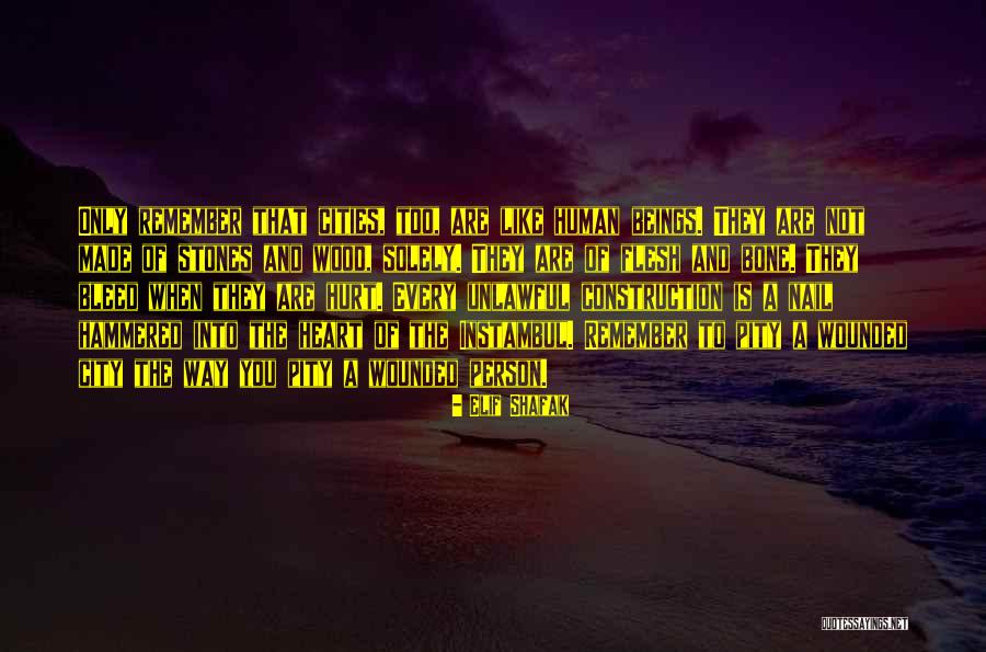 Nail Hammered Quotes By Elif Shafak Nail Hammered Quotes By Elif Shafak
