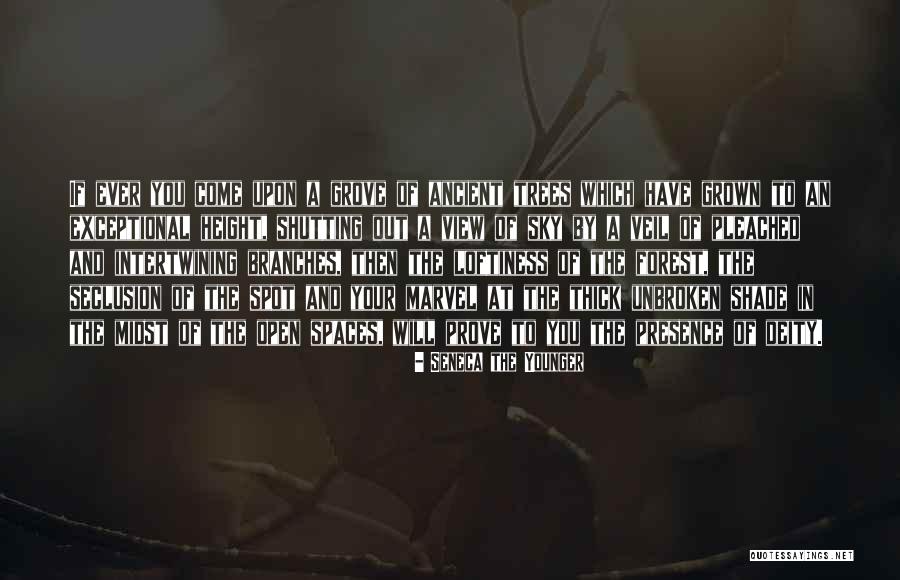 Nailyhome Quotes By Seneca The Younger Nailyhome Quotes By Seneca The Younger