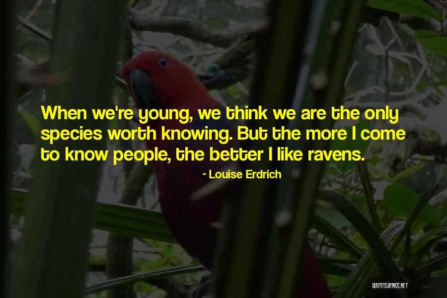 Naime Sultan Quotes By Louise Erdrich Naime Sultan Quotes By Louise Erdrich