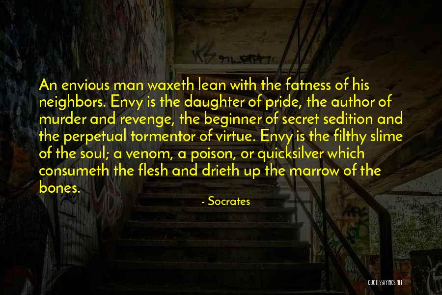 Naimeh Tashakkorinia Quotes By Socrates Naimeh Tashakkorinia Quotes By Socrates