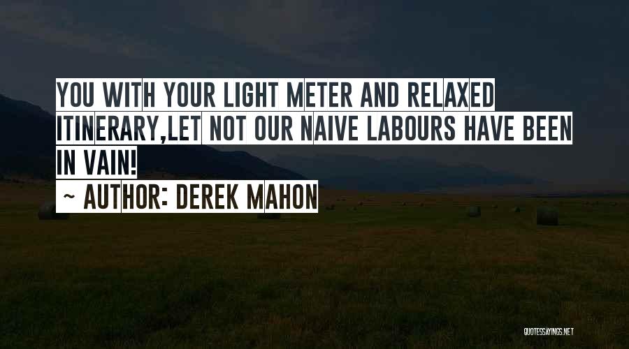 Naive Quotes By Derek Mahon