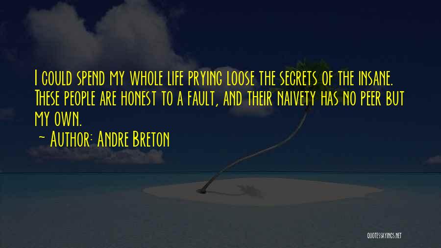 Naivety Quotes By Andre Breton