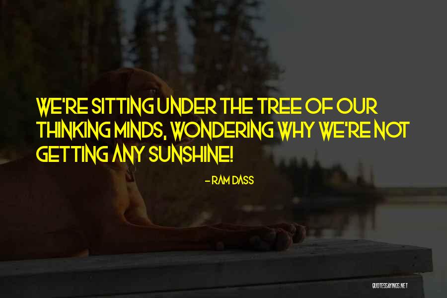 Najah Wakim Quotes By Ram Dass Najah Wakim Quotes By Ram Dass
