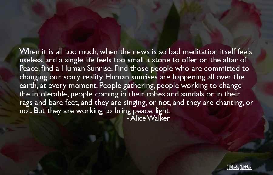 Najfiniji Bozicni Quotes By Alice Walker
