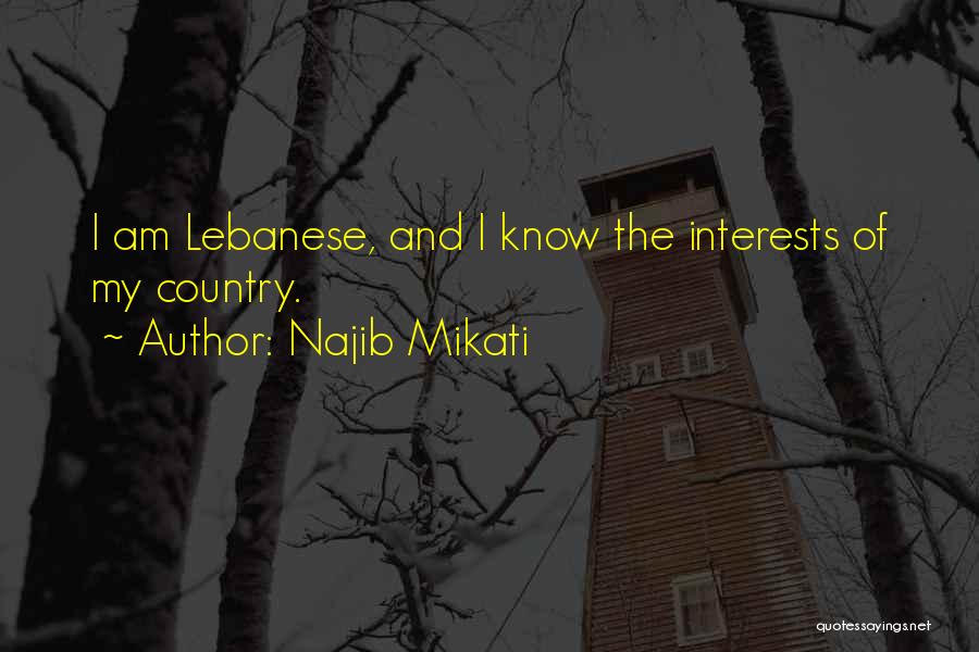 Najib Mikati Quotes 1704601