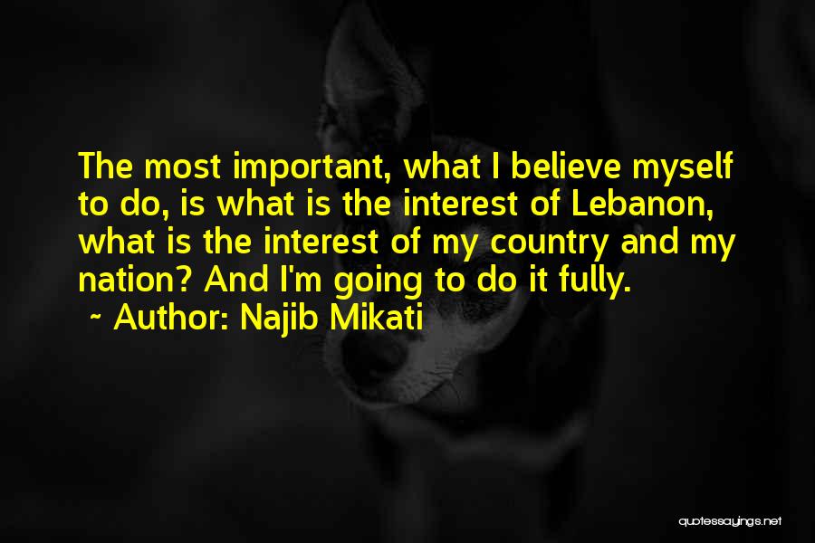 Najib Mikati Quotes 466425