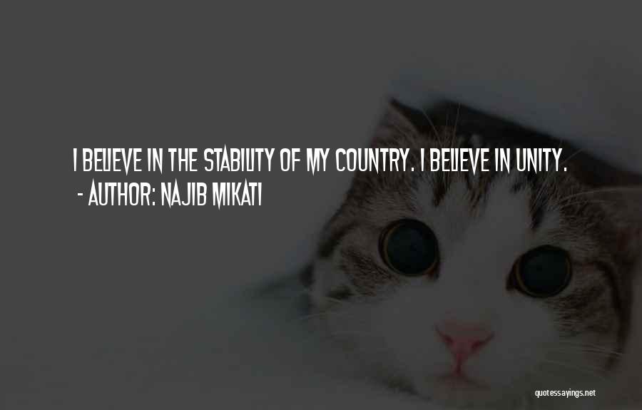 Najib Mikati Quotes 688646