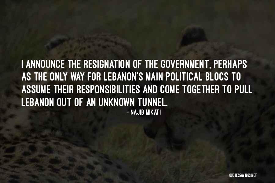 Najib Quotes By Najib Mikati Najib Quotes By Najib Mikati