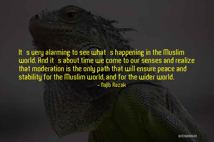 Najib Quotes By Najib Razak Najib Quotes By Najib Razak